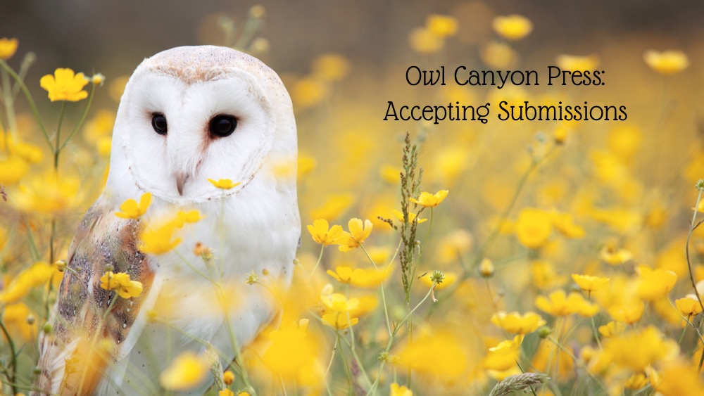 Owl Canyon Press Contest 2020 (Prize: $2250, Publication)