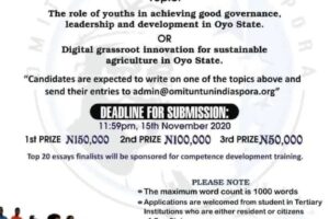 2020 Seyi Makinde Annual Essay Competition For Undergraduates