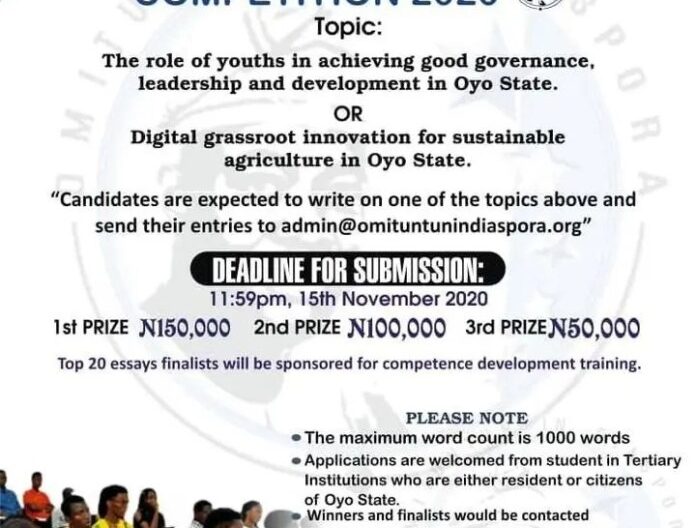 2020 Seyi Makinde Annual Essay Competition For Undergraduates