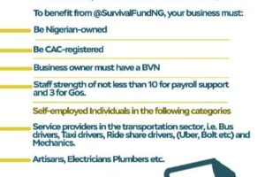 How to apply for the N75 Billion Federal Government Survival Fund