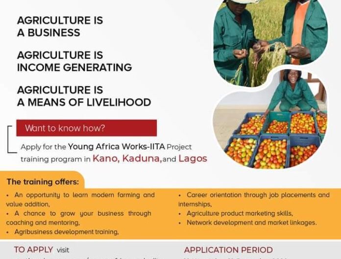 Mastercard Foundation Young Africa Works-IITA Project 2020