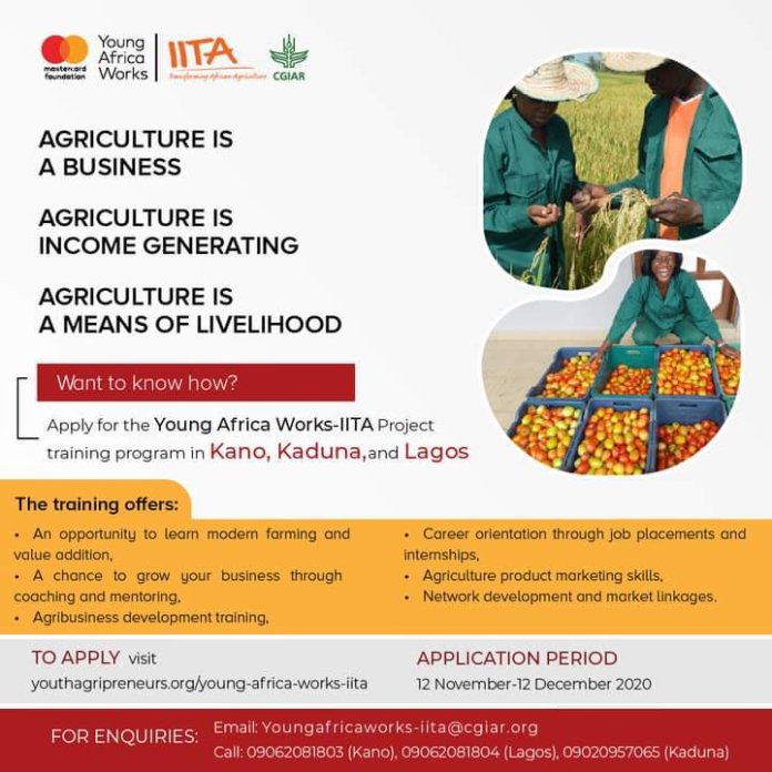 Mastercard Foundation Young Africa Works-IITA Project 2020