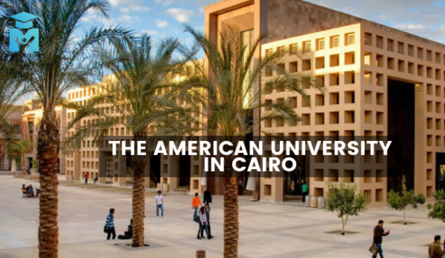 African Graduate Fellowships at AUC