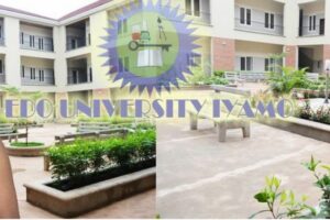 Edo University Scholarship