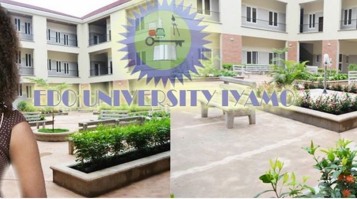 Edo University Scholarship