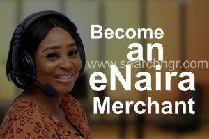 How to Get the Nigeria eNaira