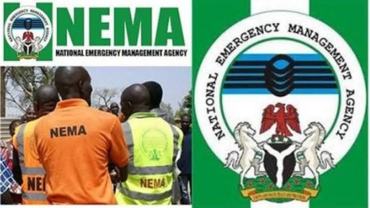 NEMA Recruitment