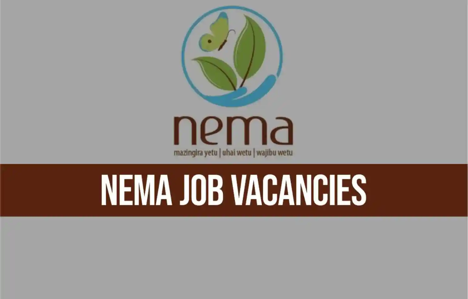 Nema Recruitment: Requirements And How To Apply