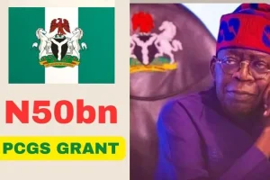 N50bn Grant: Nigerian Government releases conditions