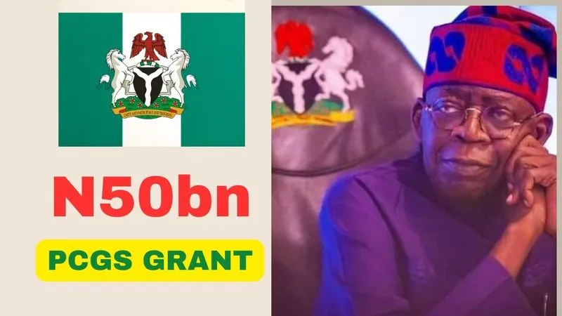 N50bn Grant: Nigerian Government releases conditions